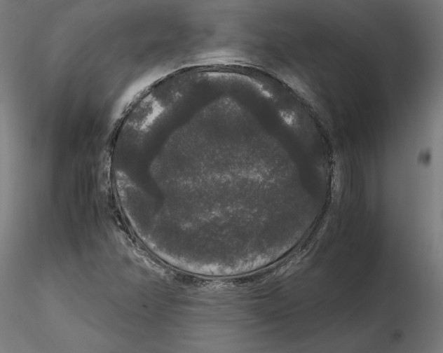 X0000116481358201001061111