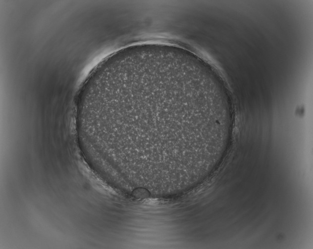 X0000116481360201001061111