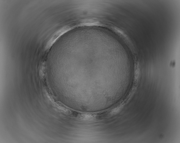 X0000116481361201001061111