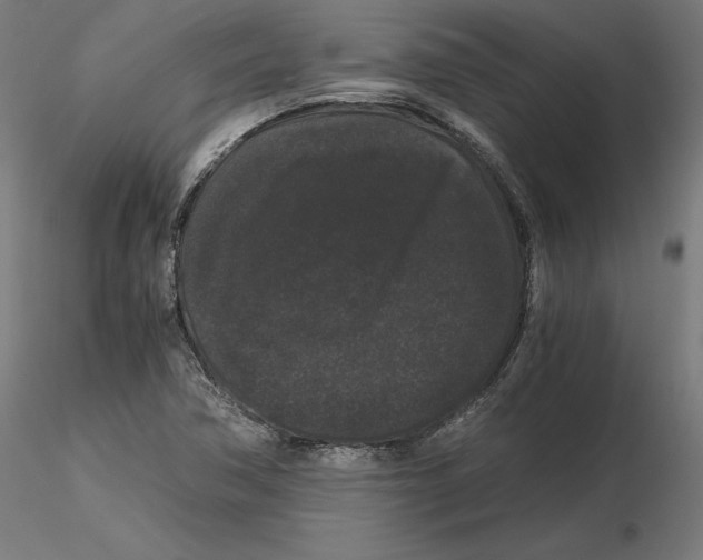 X0000116481362201001061111