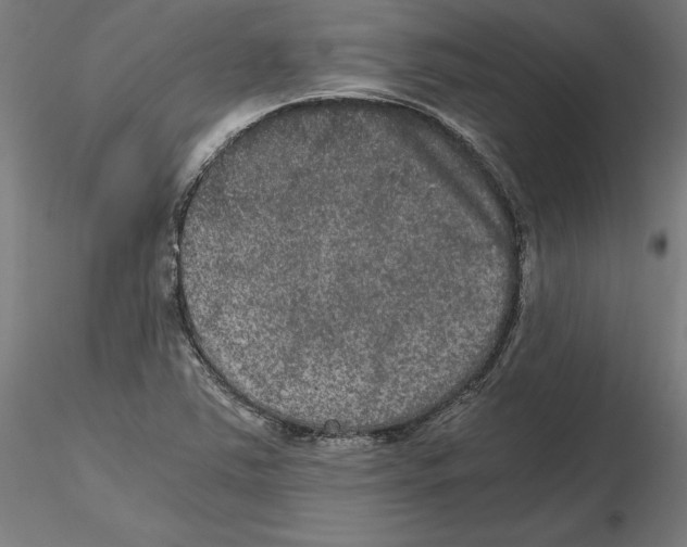 X0000116481363201001061111