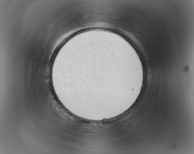 X0000116481364201001061111