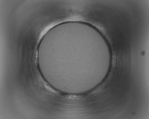 X0000116481366201001061111