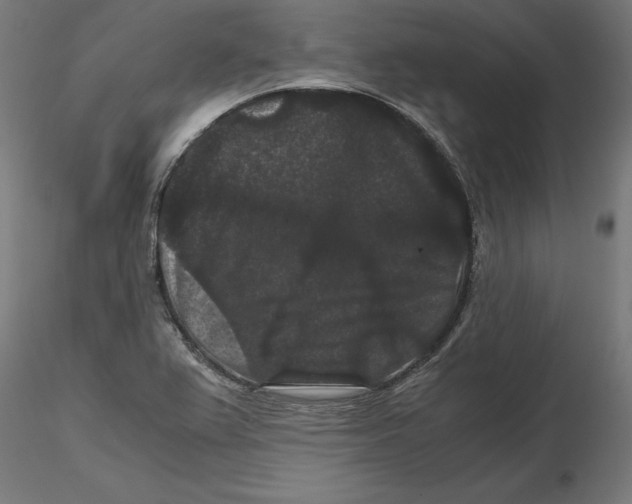 X0000116481367201001061111