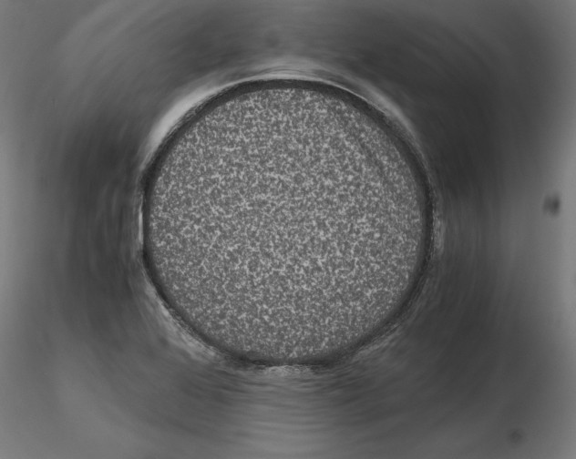 X0000116481368201001061111