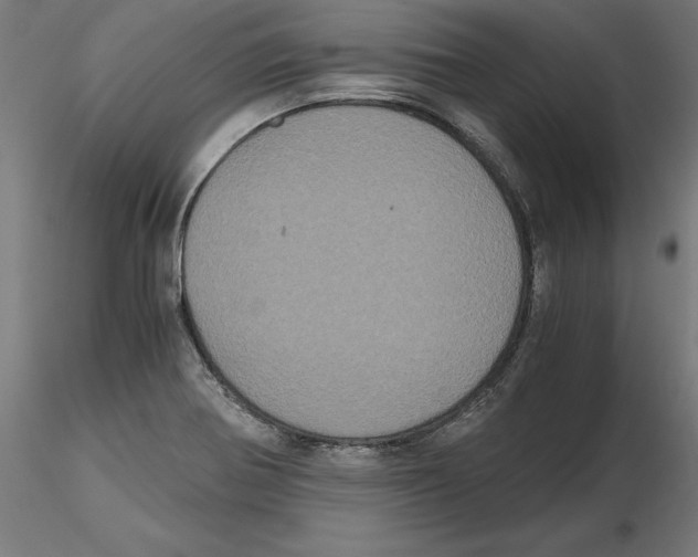 X0000116481370201001061111