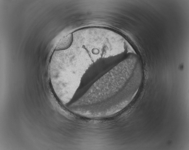 X0000116481371201001061111