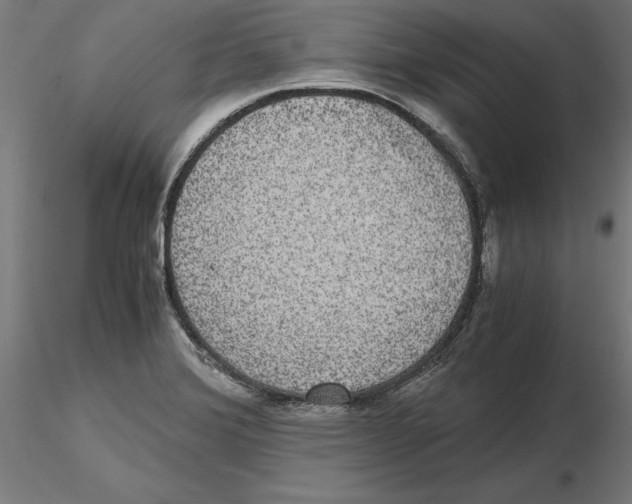 X0000116481372201001061111