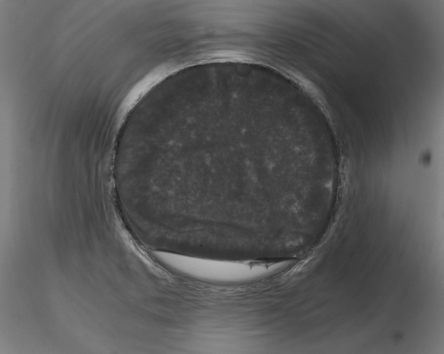 X0000116481373201001061111