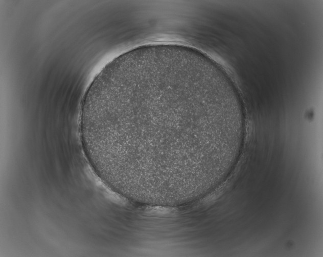 X0000116481374201001061111