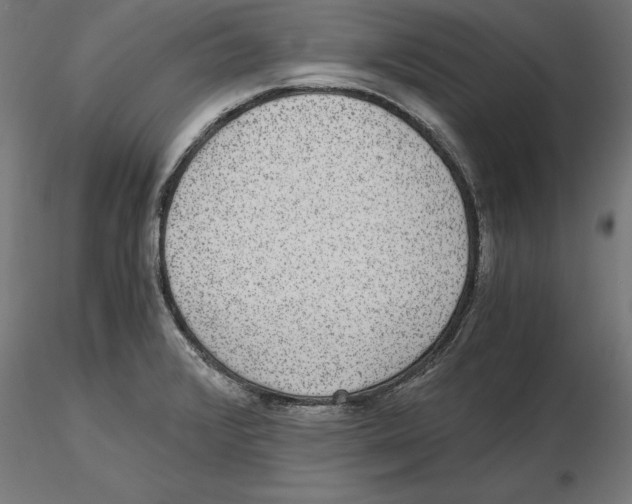 X0000116481376201001061111