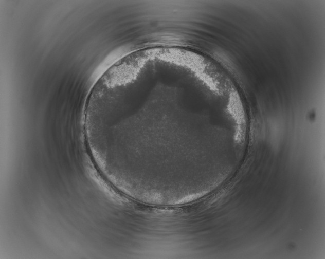 X0000116481378201001061111