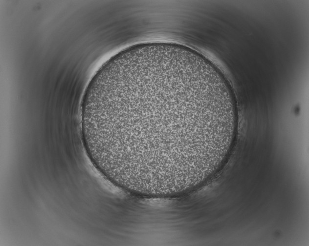 X0000116481380201001061111