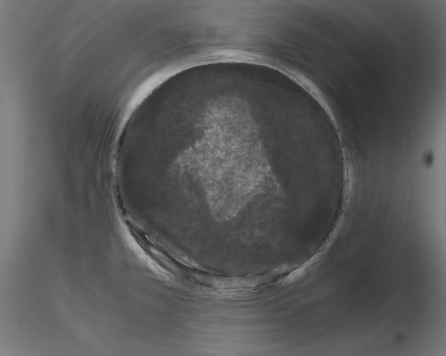 X0000116481381201001061111