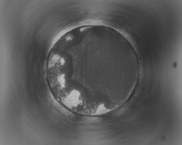 X0000116481382201001061111