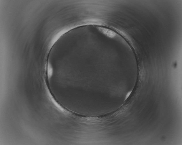 X0000116481383201001061111