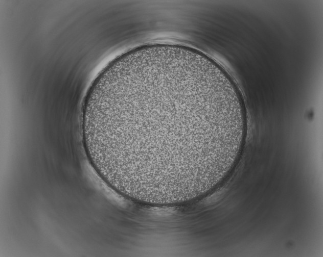 X0000116481384201001061111