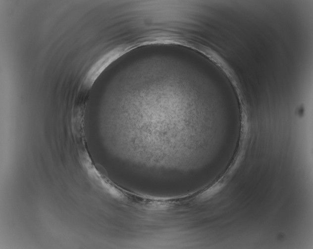 X0000116481385201001061111