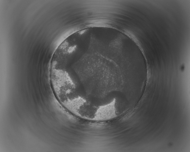 X0000116481386201001061111