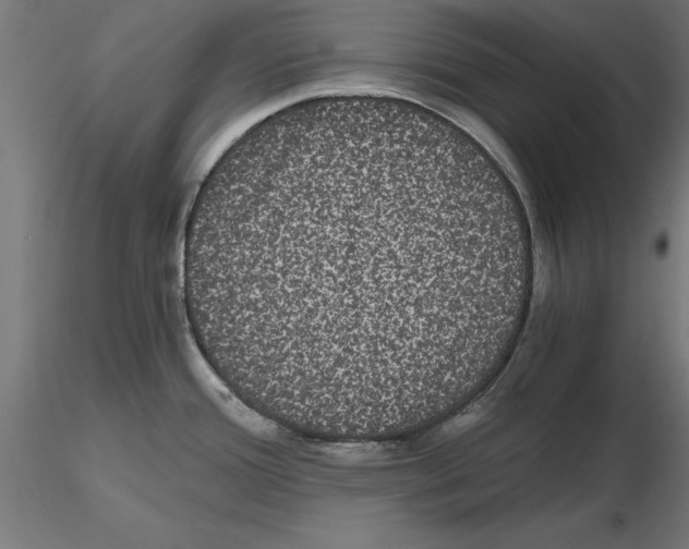 X0000116481388201001061111