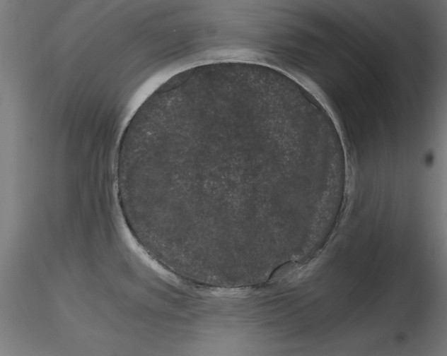 X0000116481389201001061111