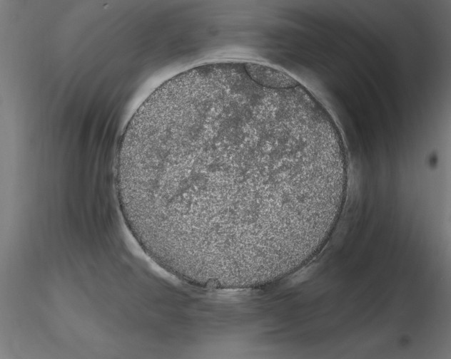 X0000116481390201001061111