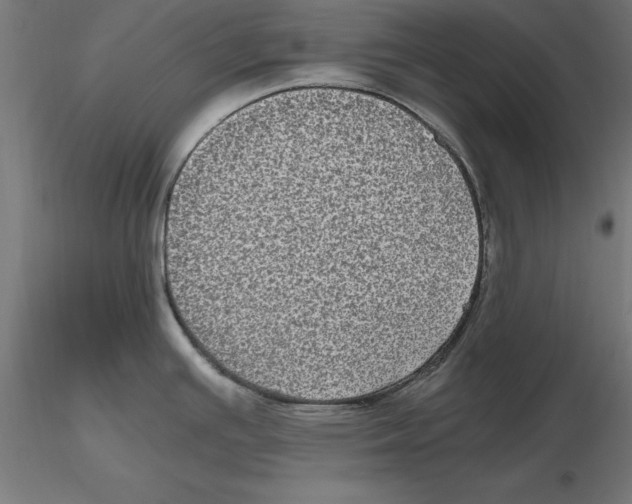 X0000116481391201001061111