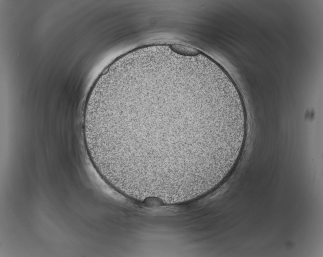 X0000116481392201001061111