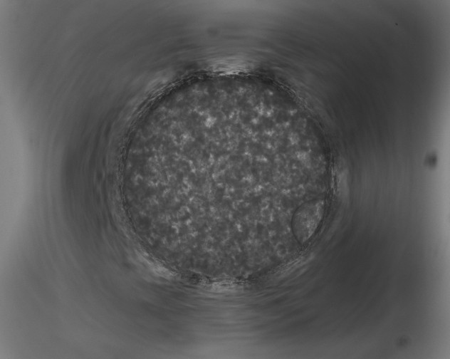 X0000116481393201001061110