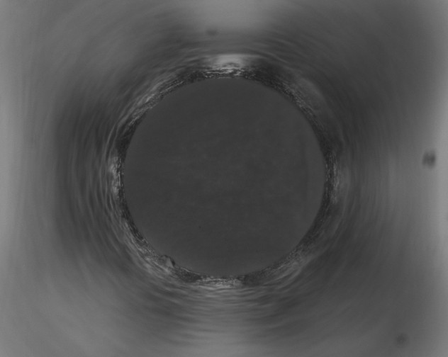 X0000116481394201001061110