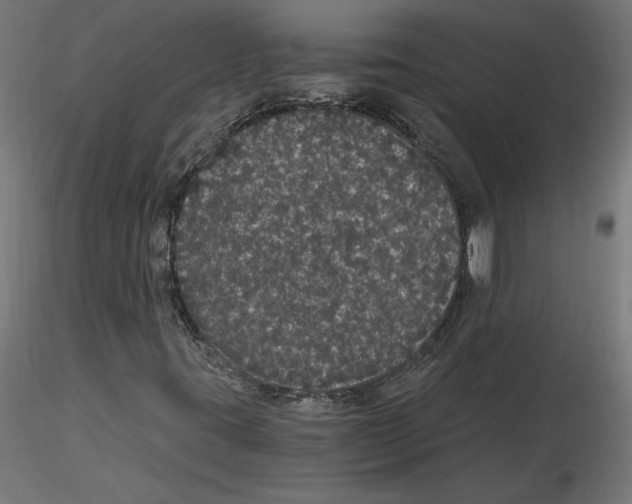 X0000116481395201001061110