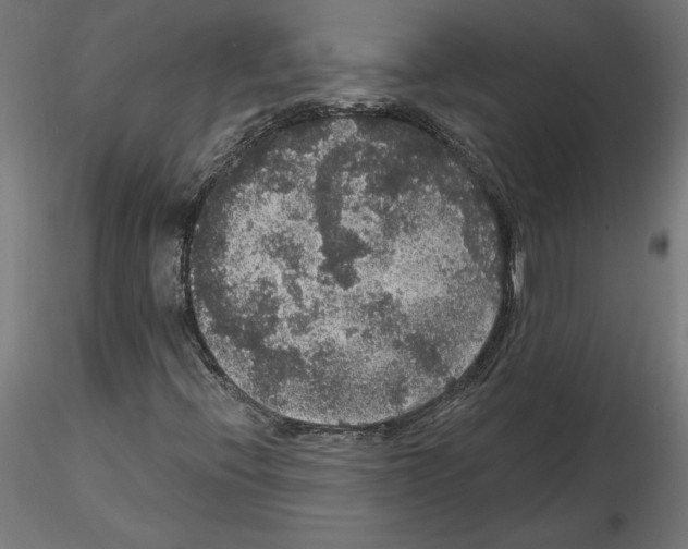 X0000116481396201001061110