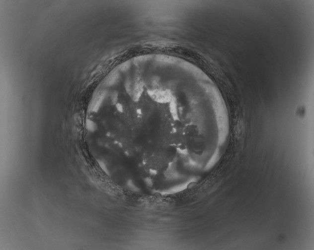 X0000116481397201001061110