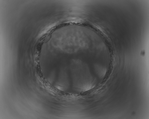 X0000116481399201001061110