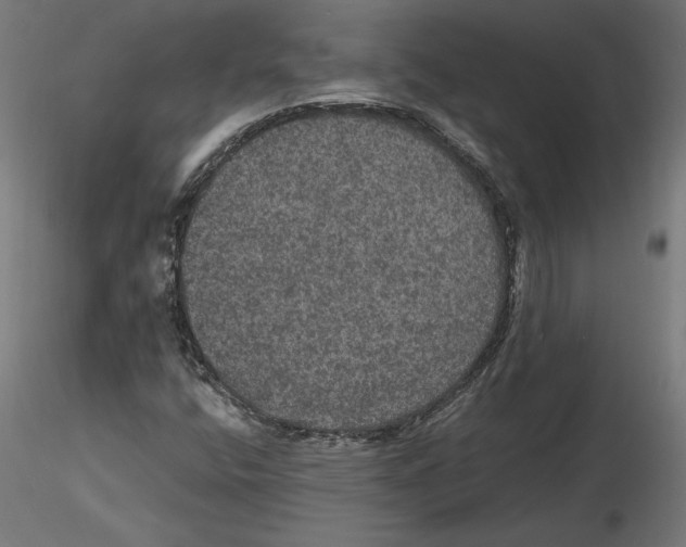 X0000116481400201001061110