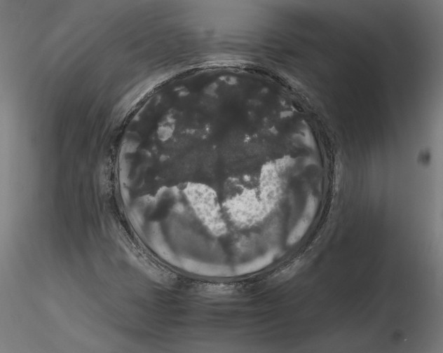 X0000116481401201001061110