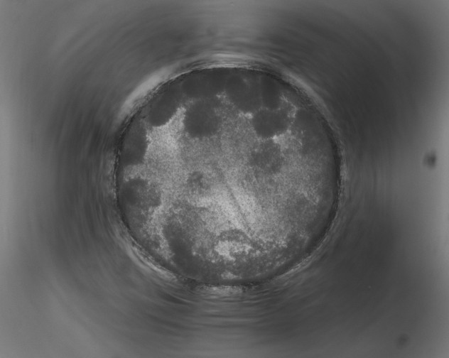 X0000116481403201001061110