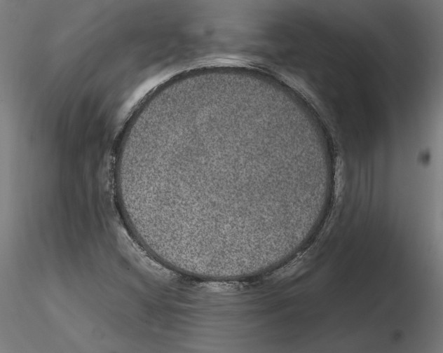 X0000116481404201001061110