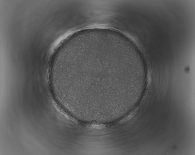 X0000116481406201001061110