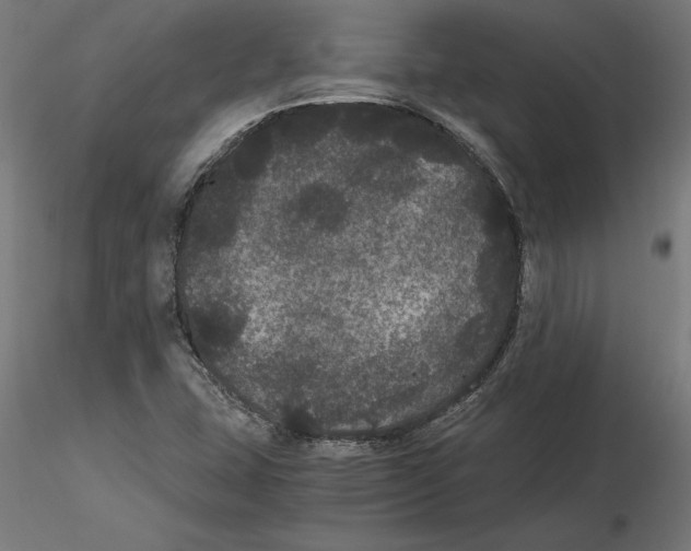 X0000116481407201001061110