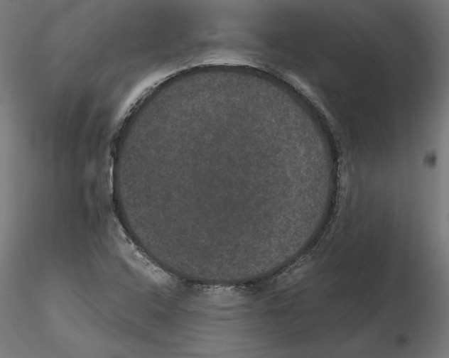 X0000116481408201001061110