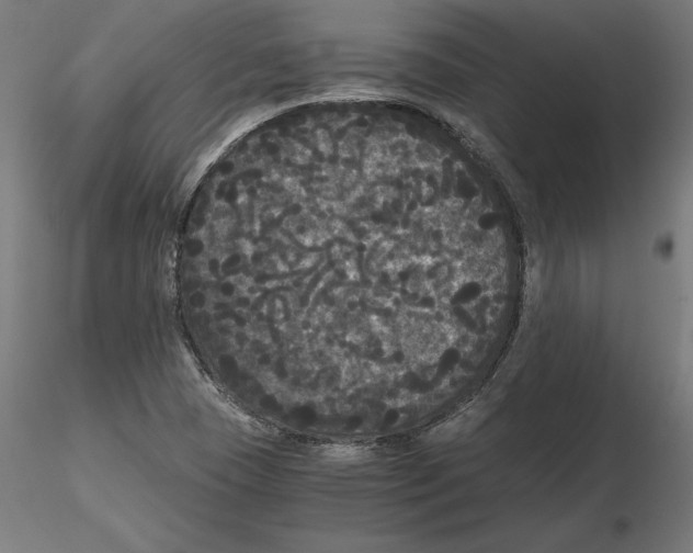 X0000116481409201001061110