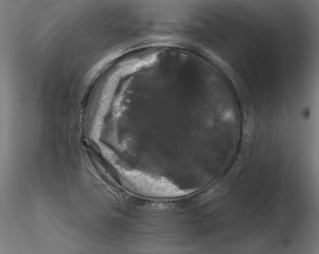 X0000116481411201001061110