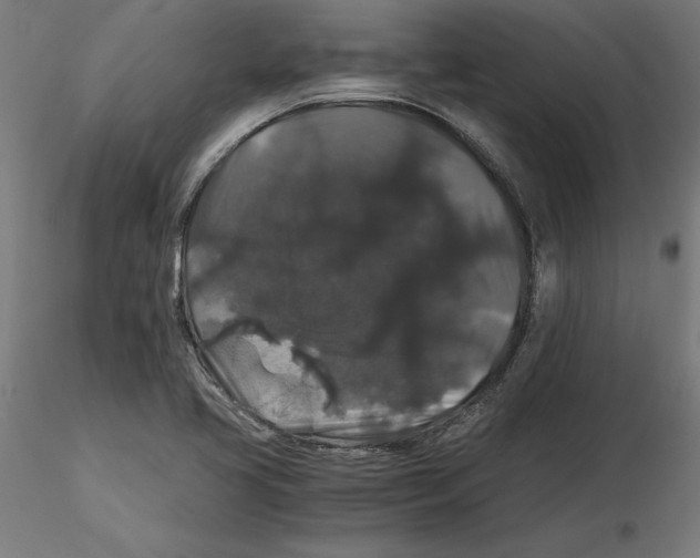 X0000116481413201001061110