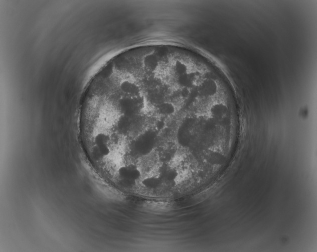 X0000116481415201001061110