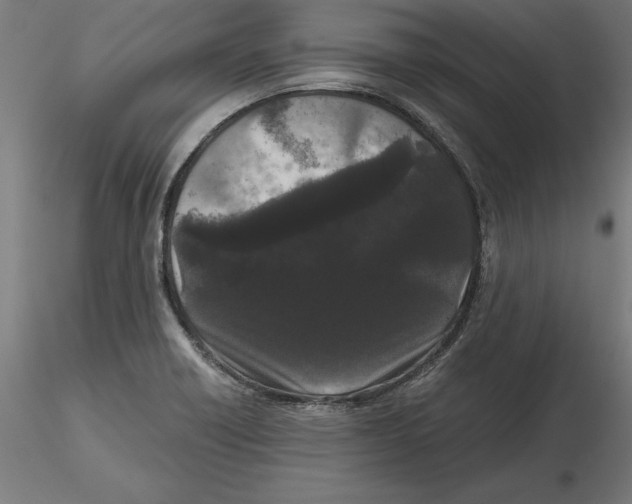 X0000116481418201001061110