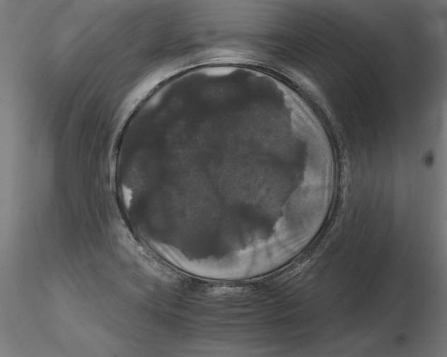 X0000116481419201001061110