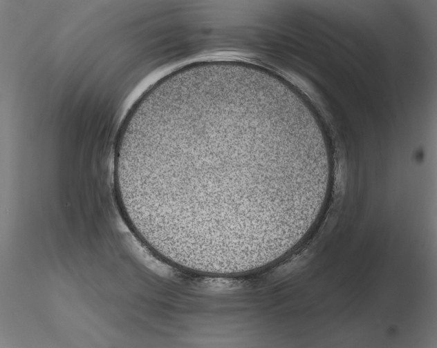 X0000116481420201001061110