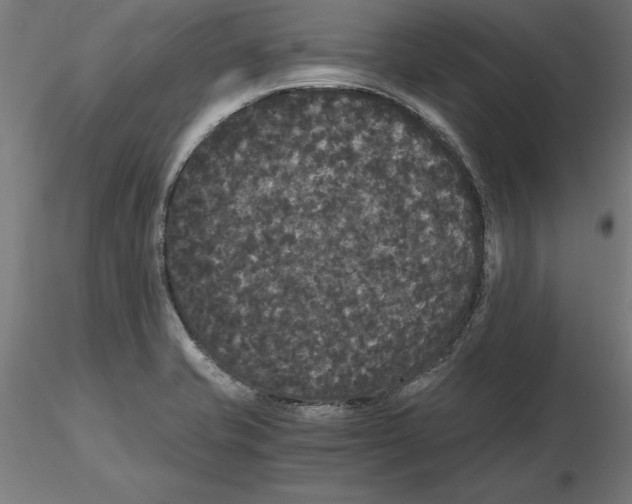 X0000116481421201001061110