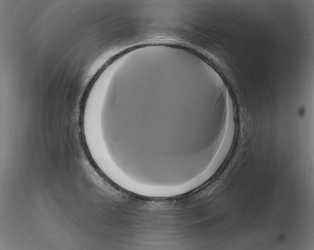 X0000116481422201001061110